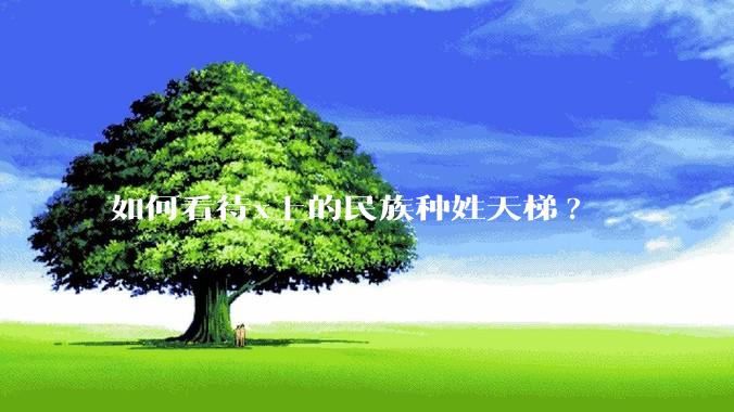 如何看待x上的民族种姓天梯?