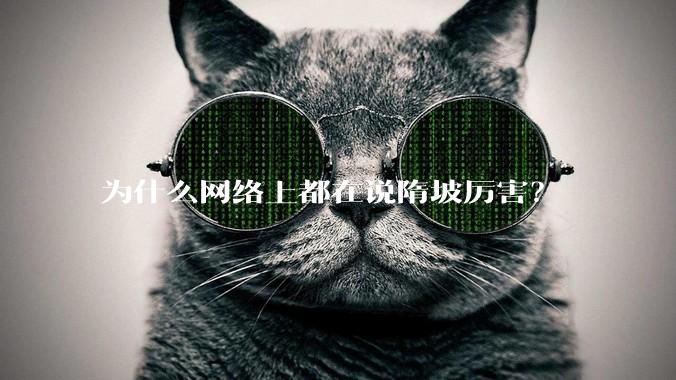 为什么网络上都在说隋坡厉害？