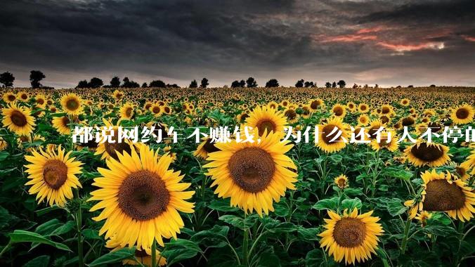 都说网约车不赚钱，为什么还有人不停的入坑？