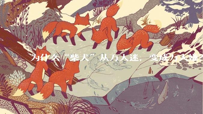 为什么“柴犬”从万人迷，变成万人嫌？