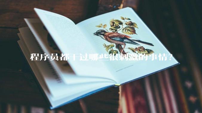 程序员都干过哪些很刺激的事情？