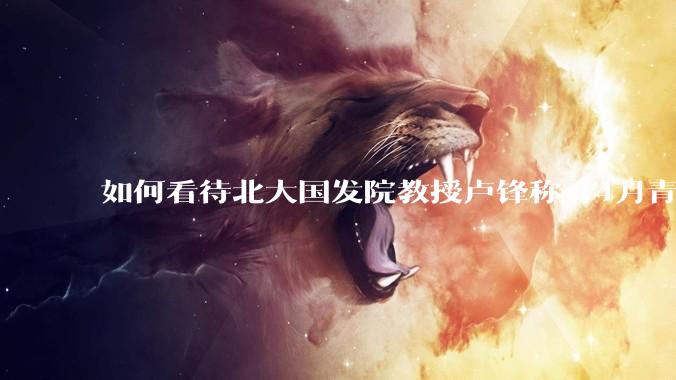如何看待北大国发院教授卢锋称「4月青年失业率中国已远超美欧」？