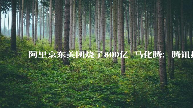 阿里京东美团烧了800亿 马化腾：腾讯抗不住 已从美团京东投资中退出_竞争_零售_大战