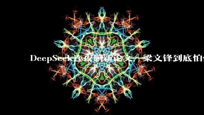 DeepSeek连夜删新论文，梁文锋到底怕什么｜深度_推理_模型_视觉