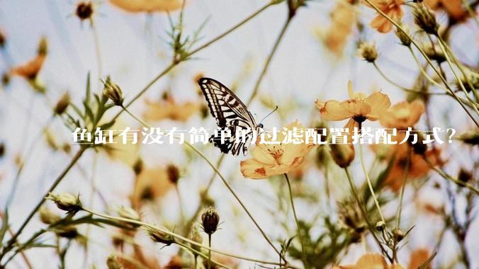 鱼缸有没有简单的过滤配置搭配方式？