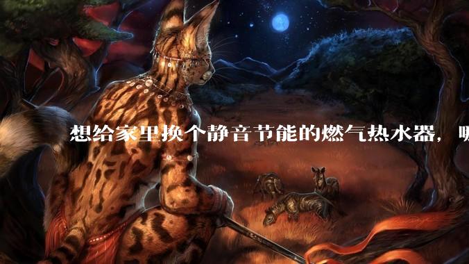 想给家里换个静音节能的燃气热水器，哪个品牌比较好？