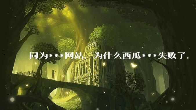 同为***网站，为什么西瓜***失败了，哔哩哔哩成功了?