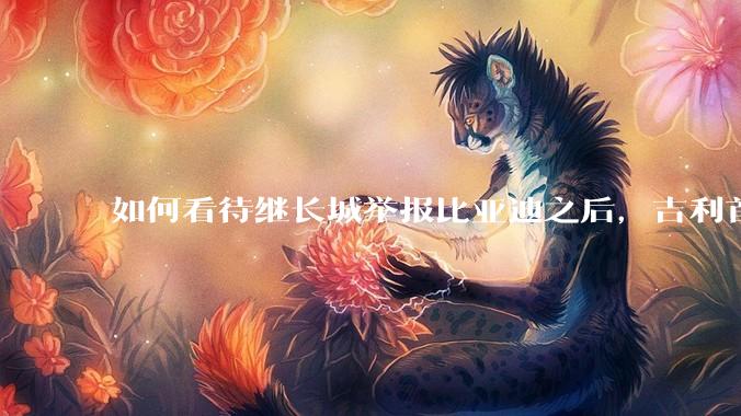 如何看待继长城举报比亚迪之后，吉利首次公开支持长城，广汽也力挺吉利发言，奇瑞说价格战是饮鸩止渴？