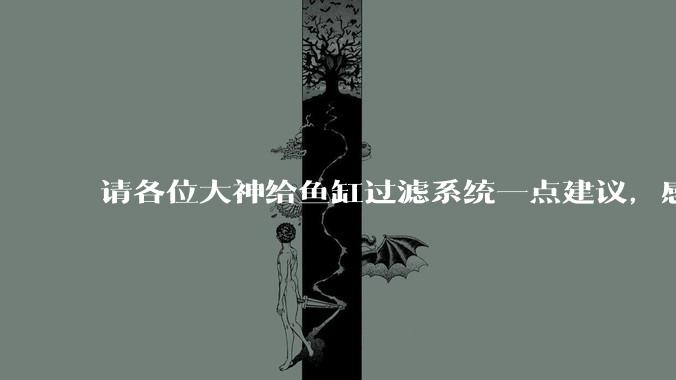 请各位大神给鱼缸过滤系统一点建议，感觉进水口的吸力不够，花篮还总停止转动。?