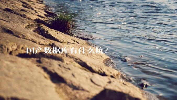 国产数据库有什么坑？