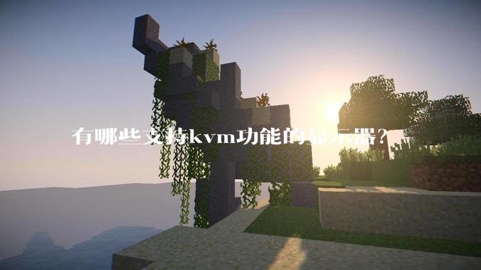 有哪些支持kvm功能的显示器？