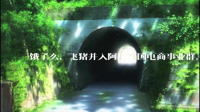 饿了么、飞猪并入阿里中国电商事业群，两公司 CEO 均向蒋凡汇报，如何看待这一调整？